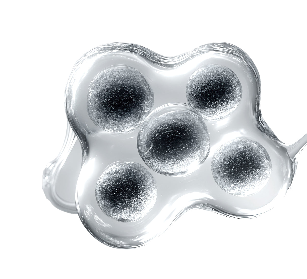 Why Your Skin Needs Ceramides: The Barrier Repair Essential