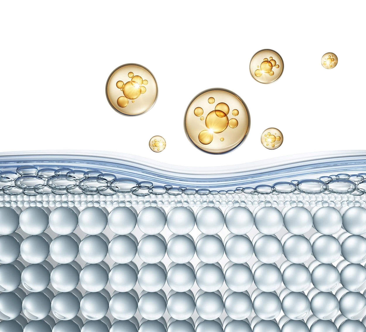 Your Skin Barrier: The Foundation of Healthy Skin