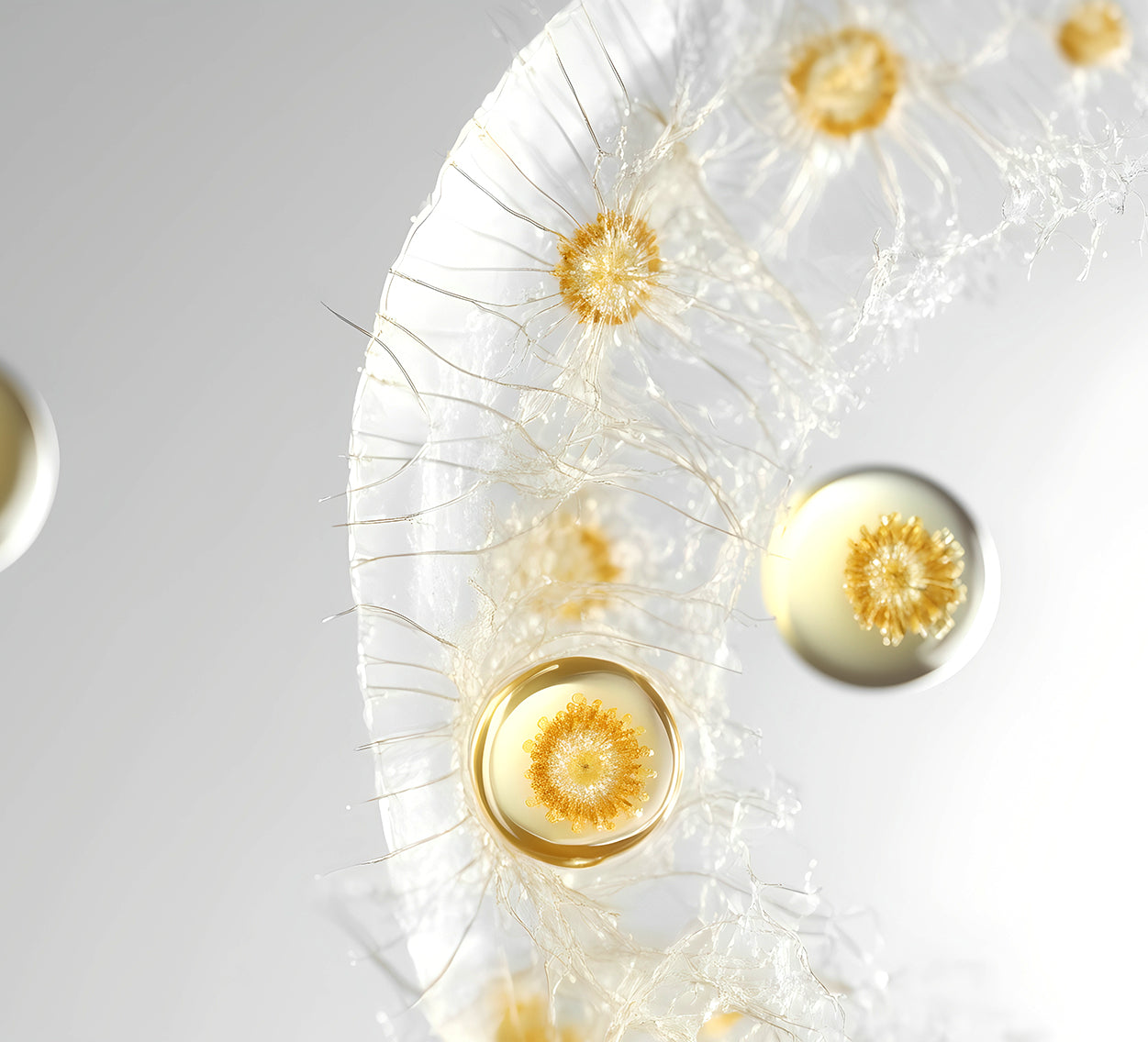 The Lipid Barrier: Your Skin’s First Line of Defense