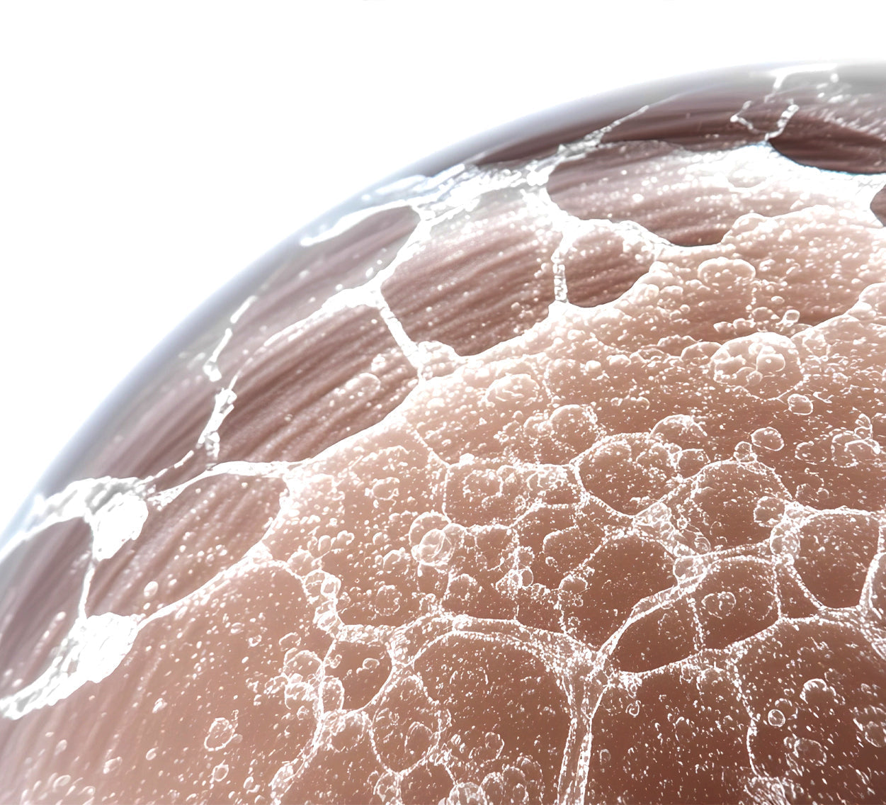 Eczema: A Clinical Look at Inflammation, Skin Barrier Damage, and Long-Term Management