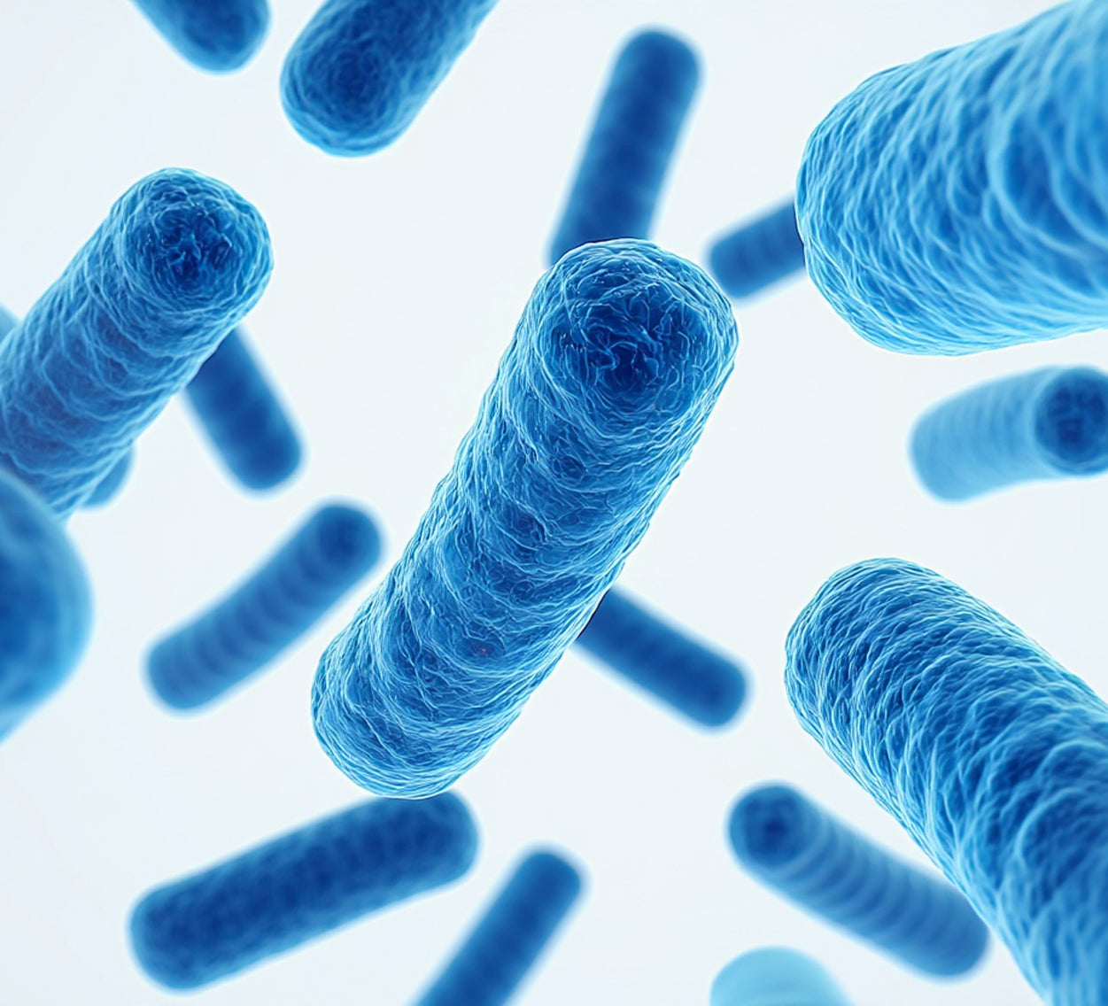 The Skin Microbiome: A Foundation for Healthy, Balanced Skin